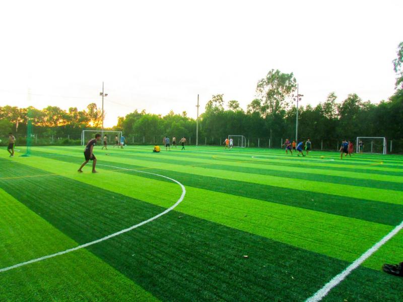 Sân bóng đá nhân tạo Hai Hòa