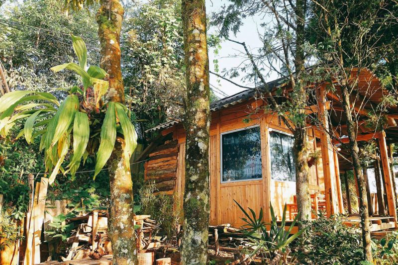 Sapa Jungle Homestay