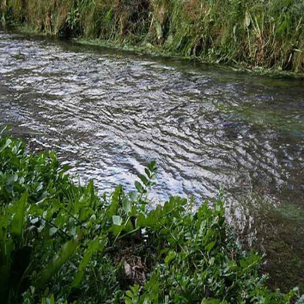 Sông Sarno, Italy là một trong những dòng sông được xếp vào hạng ô nhiễm nghiêm trọng