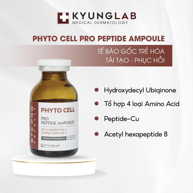 Serum tế bào gốc Kyunglab Phyto Cell Pro Peptide Ampoule