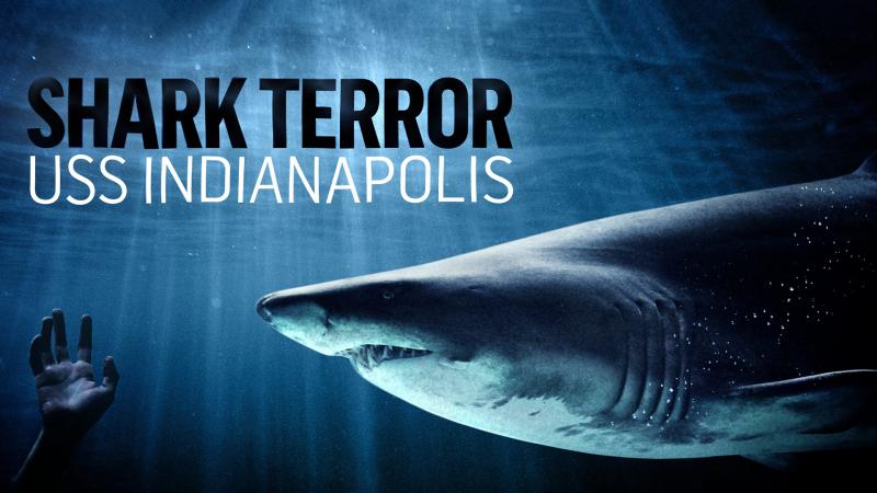 Shark Terror