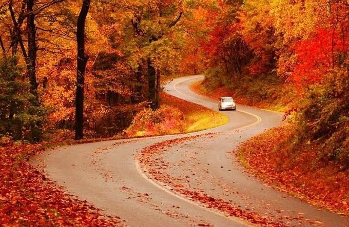Blue Ridge Parkway là con đường nổi tiếng về cảnh đẹp tự nhiên và ngắm cảnh mùa thu đang nhuộm màu đỏ, vàng