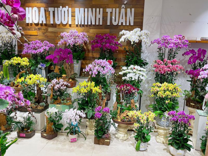 Shop hoa tươi Minh Tuấn