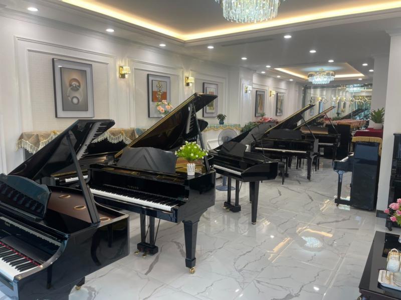 Showroom Piano Hà Nội