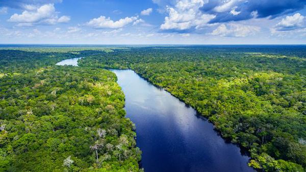 Sông Amazon, Nam Mỹ