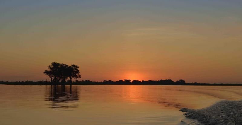 Sông Chobe
