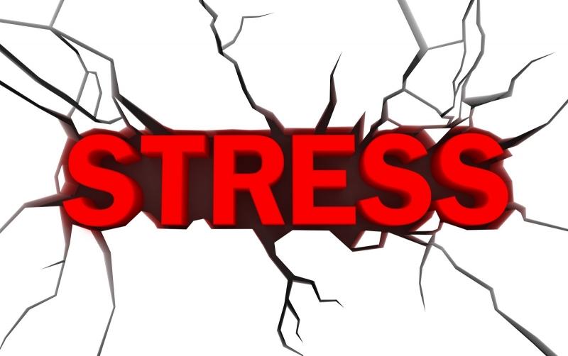Stress tác động đến sự sản sinh tinh trùng