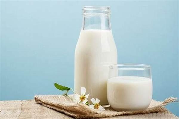 Sữa có tác dụng chống say nắng