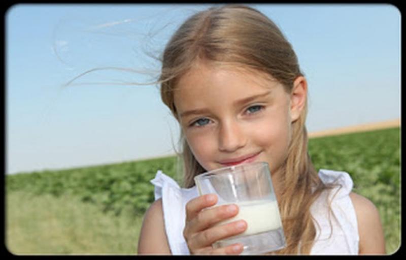 Sữa tốt cho sự phát triển của não và cơ thể