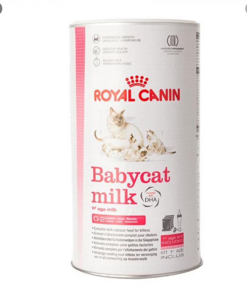 Sữa cho mèo con Royal Canin Babycat