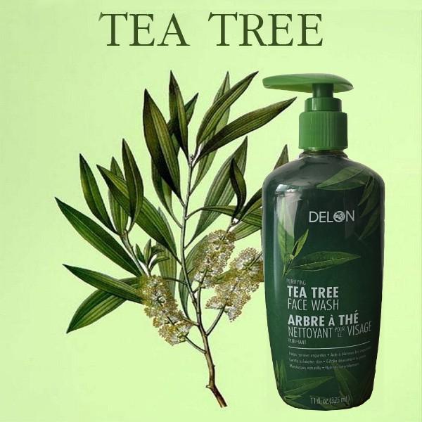 Gel rửa mặt DELON Tea Tree Face Wash với chiết xuất từ tinh dầu tràm trà