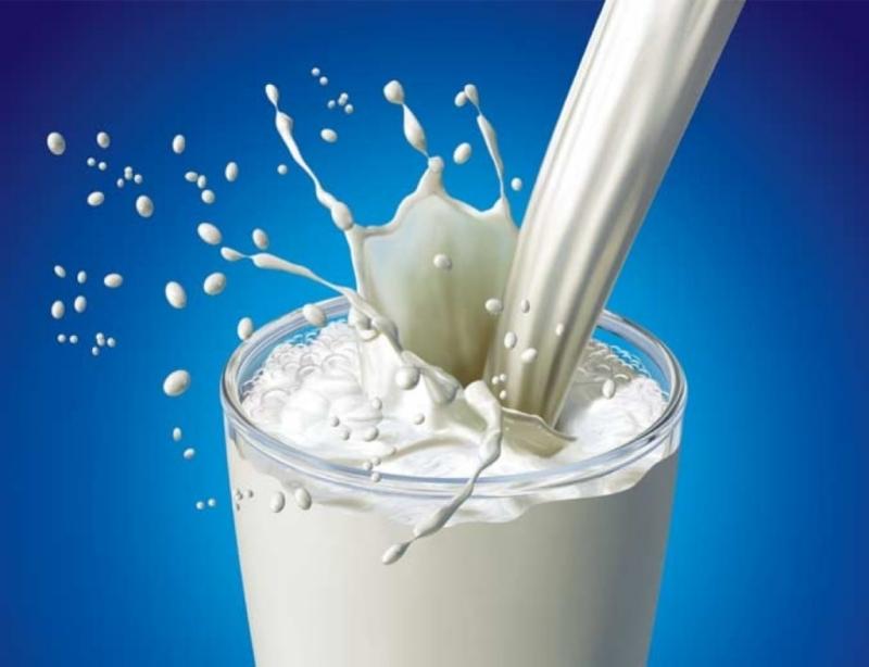 Sữa tăng cường sự dẻo dai của xương
