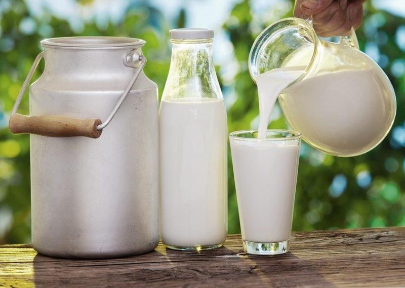 Sữa nguyên chất lại không phải là một lựa chọn đúng đắn bởi nó chứa rất nhiều chất béo.