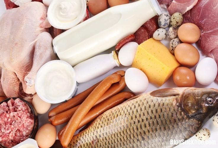 Thịt, cá, trứng, sữa là những thực phẩm cực giàu protein