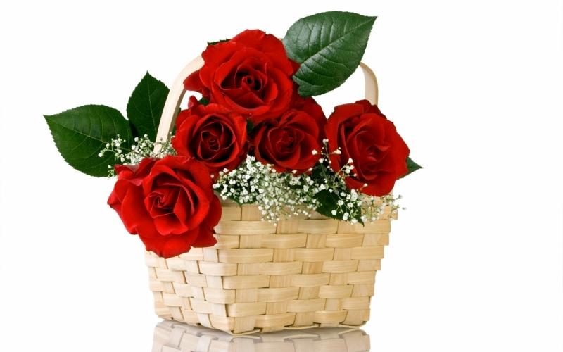 Hoa hồng tặng mẹ nói lên tình yêu, vẻ đẹp và sự chung thủy.