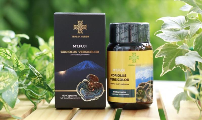 Teresa Herbs Mt. Fuji Coriolus Versicolor – Nấm Vân Chi Núi Phú Sĩ