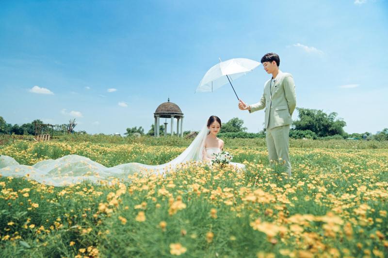 Chụp ảnh cưới ở Thảo nguyên hoa Long Biên
