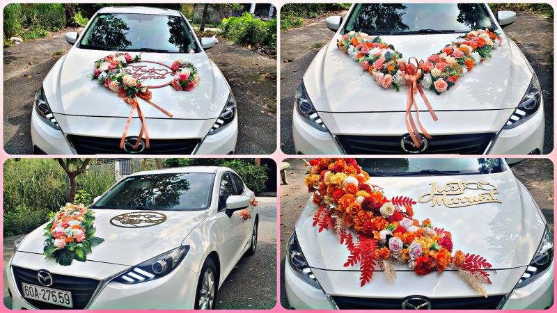Thảo Trang Car Wedding&Travel