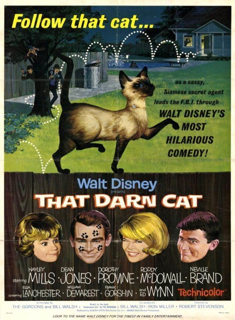 That darn cat – Điệp viên mèo