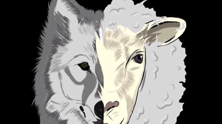 The Wolf in Sheep’s Clothing (Con sói đội lốt cừu)
