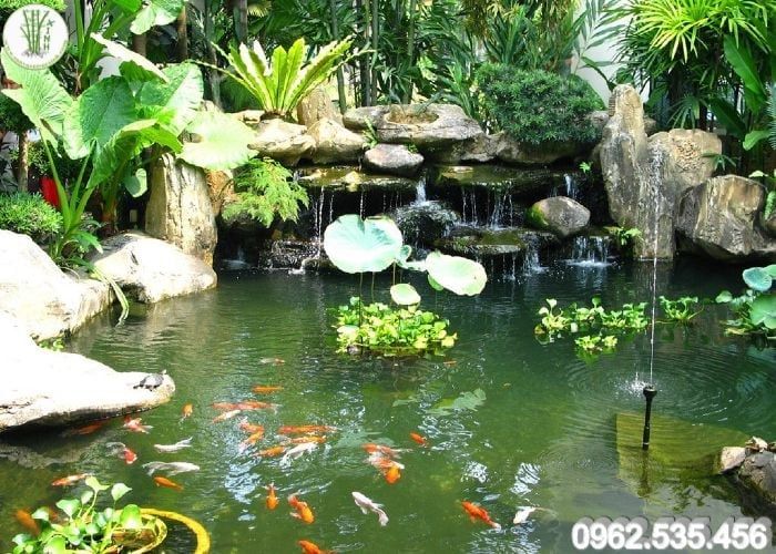 Thiết Kế Thi Công Hồ Cá Koi Sân Vườn Trúc Xinh