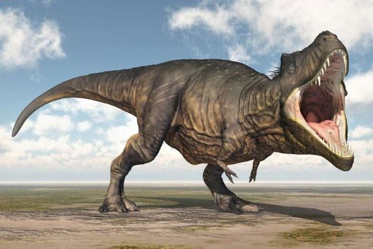 Thời kỳ thịnh vượng của khủng long kéo dài hơn 150 triệu năm