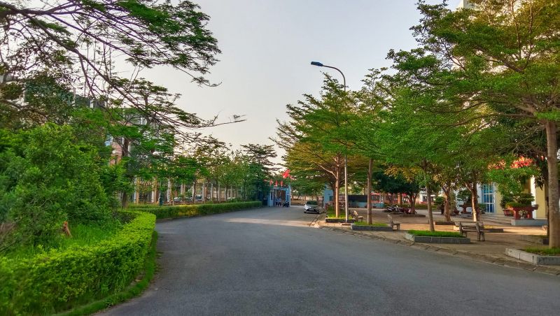 Một góc sân trường THPT Chuyên Thái Bình