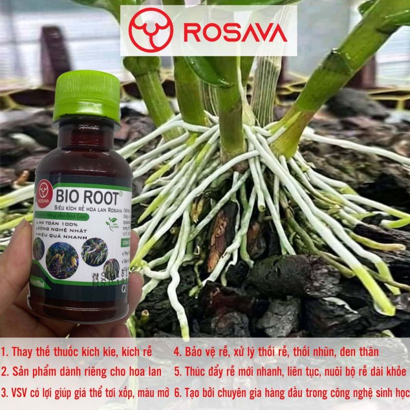 Thuốc kích rễ Bio Root