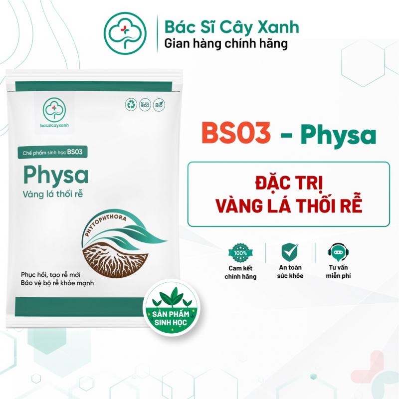 Thuốc kích rễ BS03 Physa