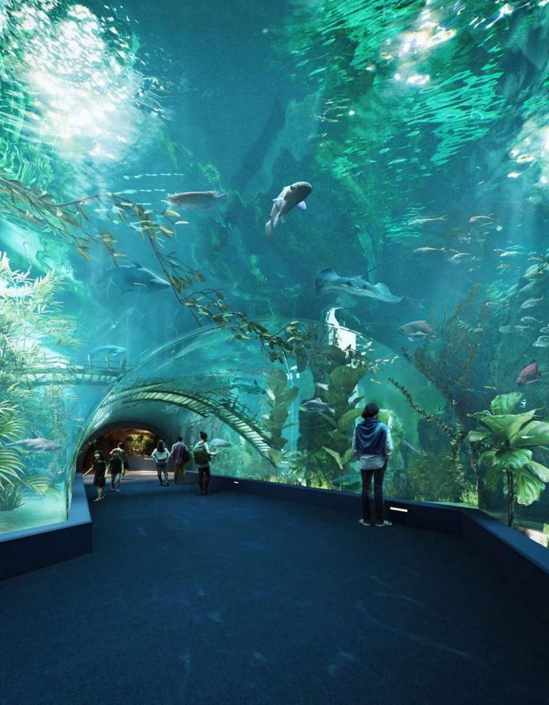 Thủy cung Lotte World Aquarium Hà Nội