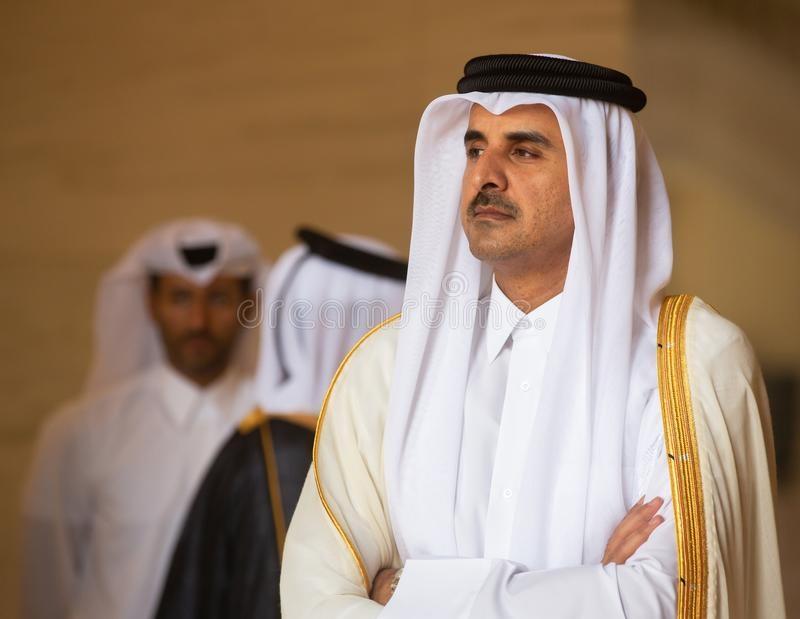 Tiểu vương Sheik Tamim ibn Hamad Al Thani, Qatar