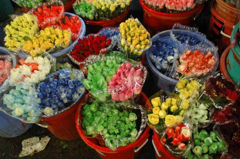 Chợ hoa Hồ Thị Kỷ - Chợ hoa đầu mối lớn nhất ở Sài Gòn