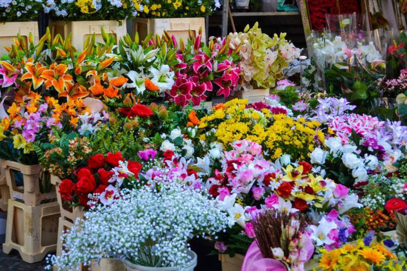 “Chợ Hoa Quảng Bá” là một trong những chợ đầu mối hoa tươi lớn nhất Miền Bắc.