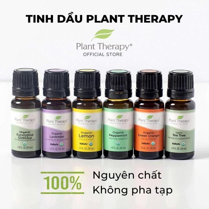Tinh dầu tràm trà hữu cơ Plant Therapy