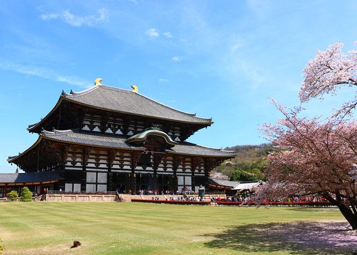 Todaiji - Ngôi chùa cổ kính nhất Nara Nhật Bản
