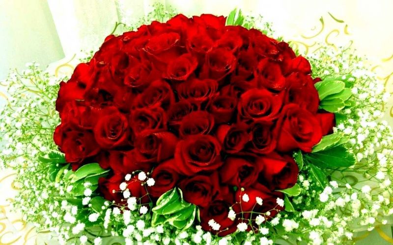 Hoa hồng đặc trưng cho sự lãng mạn và quý phái.