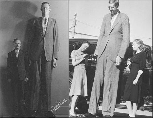 Robert Pershing Wadlow (22/2/1918 – 15/7/1940) Người đàn ông cao nhất mọi thời đại