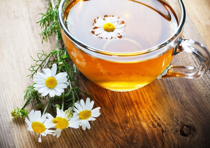Một tách trà hoa cúc ấm nóng sẽ giúp bạn điều trị cảm cúm