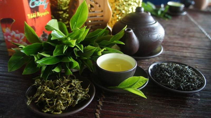 Việt cổ trà lộc đỉnh - trà đỉnh nõn Tân Cương, Thái Nguyên
