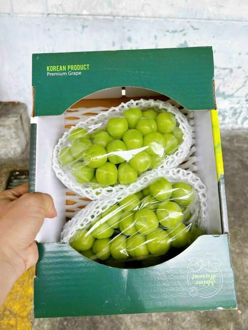 Trái cây nhập khẩu DP Fruits Bắc Giang