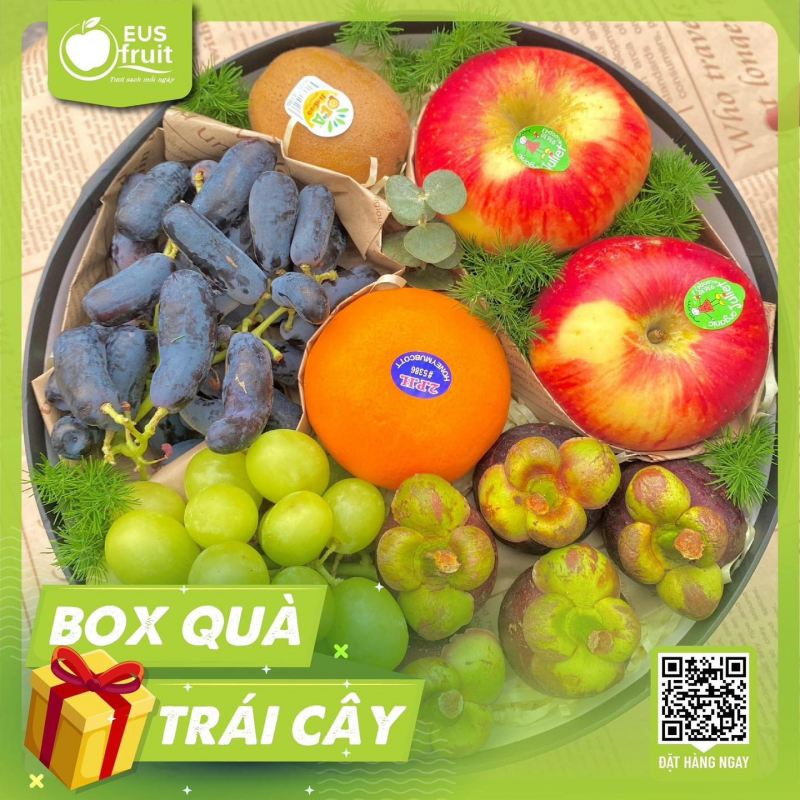 Trái cây nhập khẩu Eusfruit Hạ Long