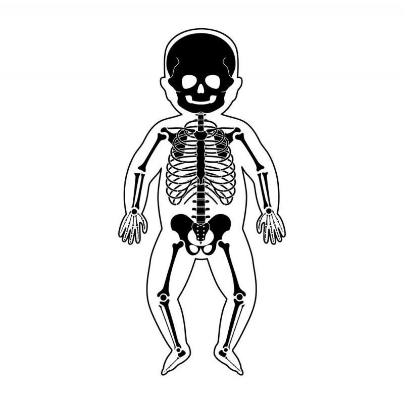 Trẻ sơ sinh được sinh ra với 300 chiếc xương