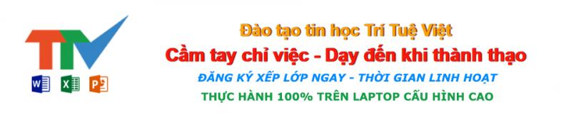 Trí tuệ Việt