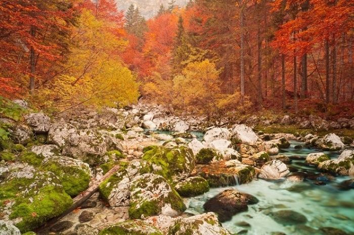 Slovenia có một công viên quốc gia duy nhất là Triglav