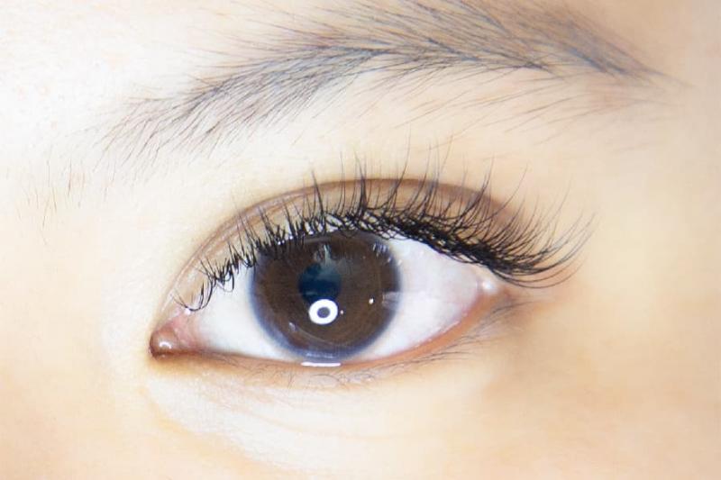 Lina beauty eyelash