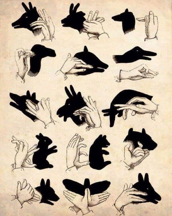 Tạo hình con thỏ bằng tay