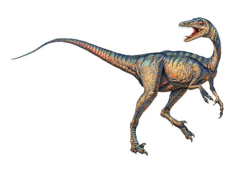 Hình ảnh khủng long Troodon