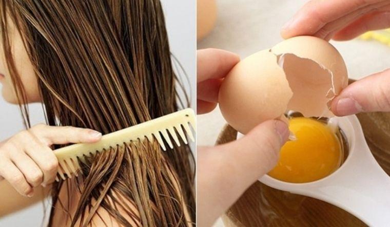Trứng gà ngăn rụng tóc