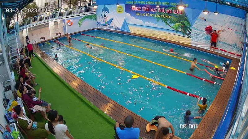 TRUNG TÂM DẠY BƠI AN CỰU - Dolphin Swimming Club
