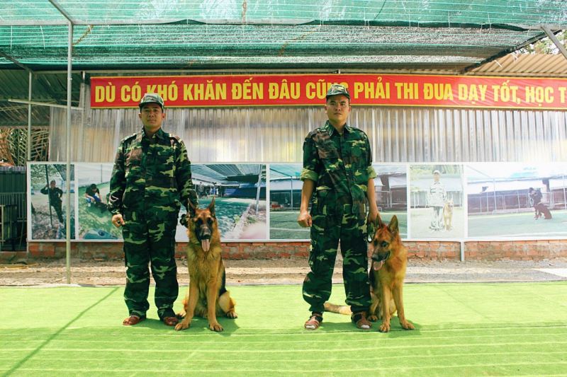 Trung tâm huấn luyện chó Cảnh Khuyển 24h